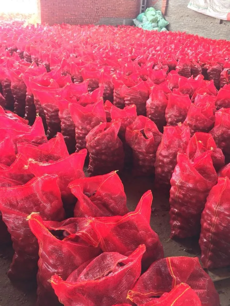 Onions packed in export-grade red mesh bags of 5kg, 10kg, and 25kg capacities.